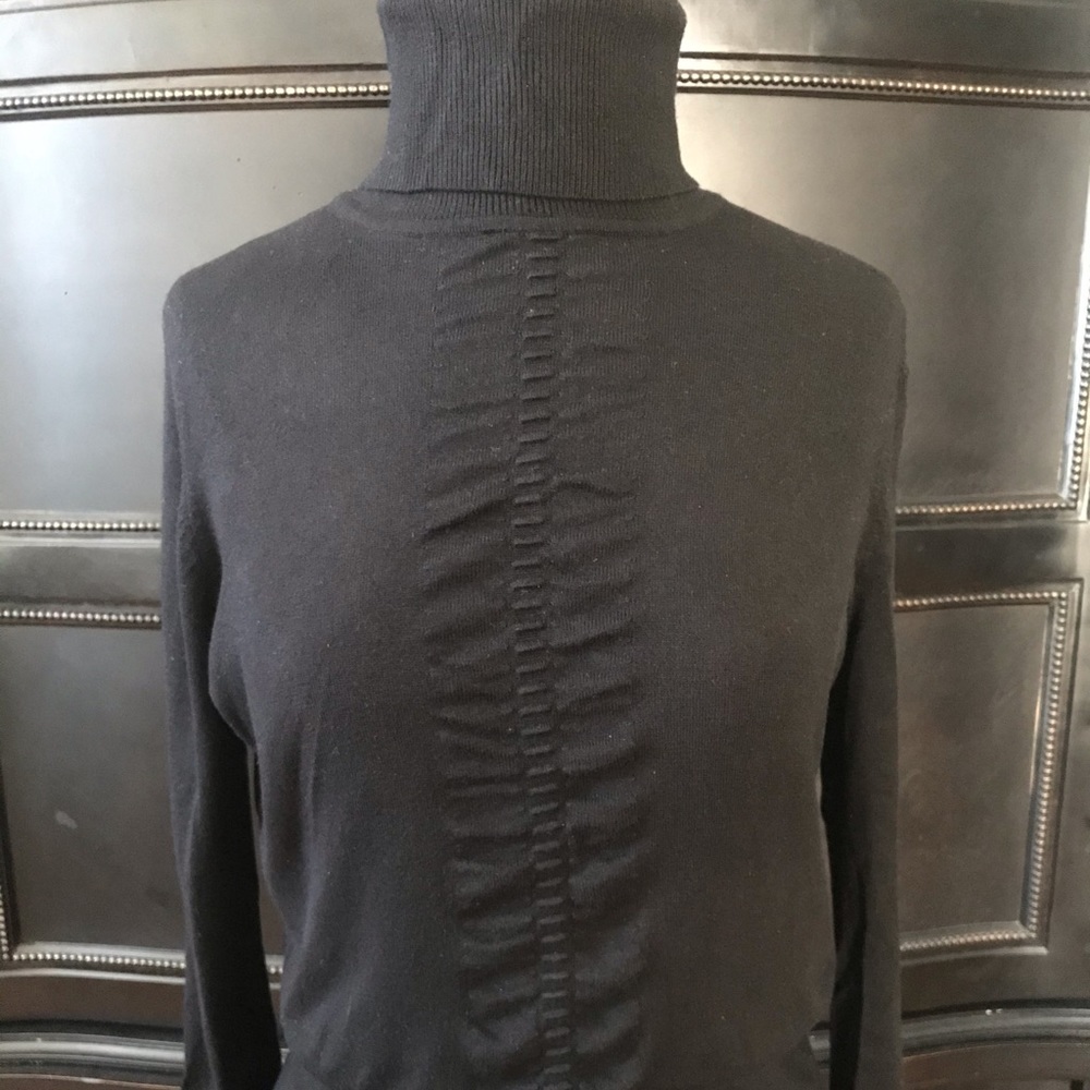 Express Turtle Neck Sweater
